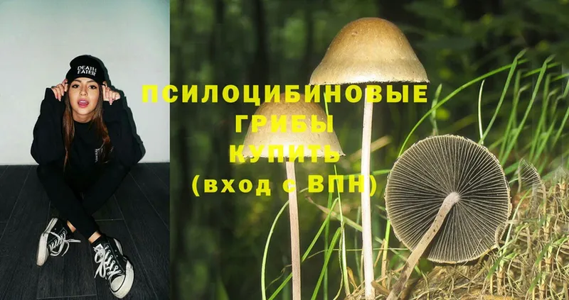 Псилоцибиновые грибы Magic Shrooms  гидра как зайти  Гороховец 